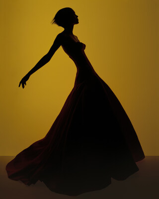 Concept and photography by Brigitte Niedermair (PRNewsfoto/UBS)